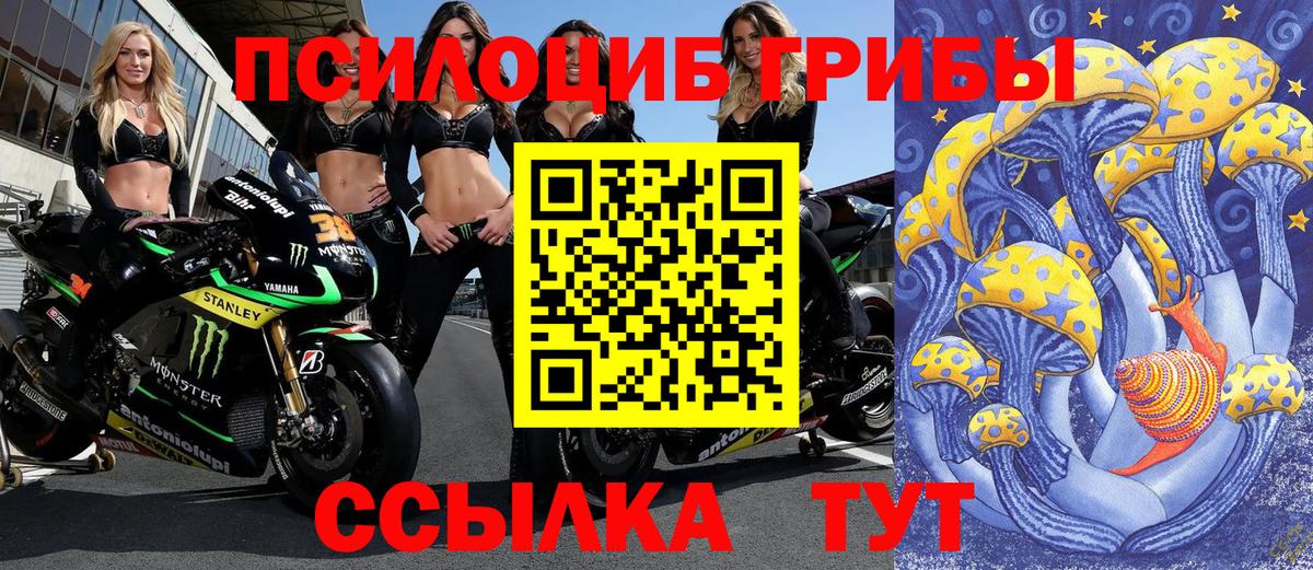 Галлюциногенные грибы Magic Shrooms Советский
